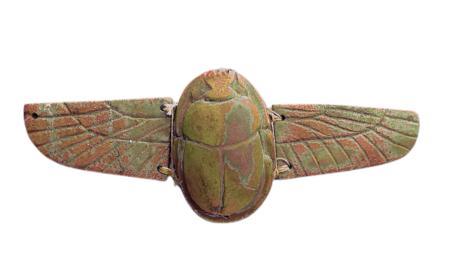 scarab amulet with its elytra open